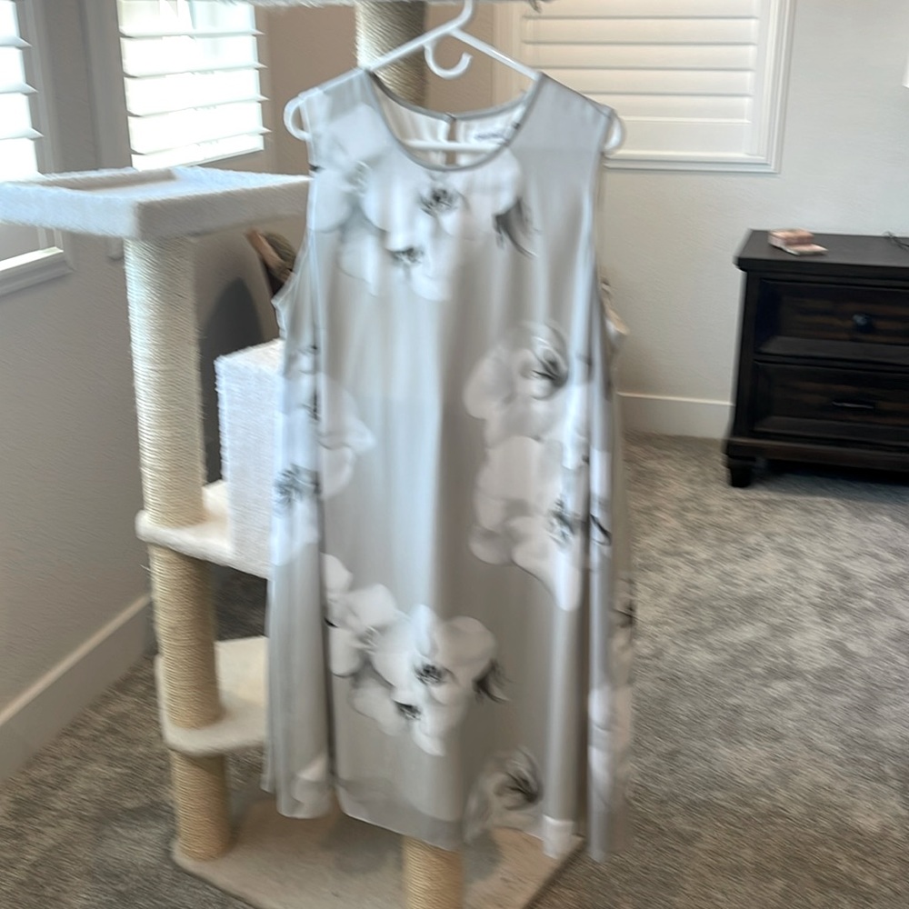 Women’s dress - sheer with lining